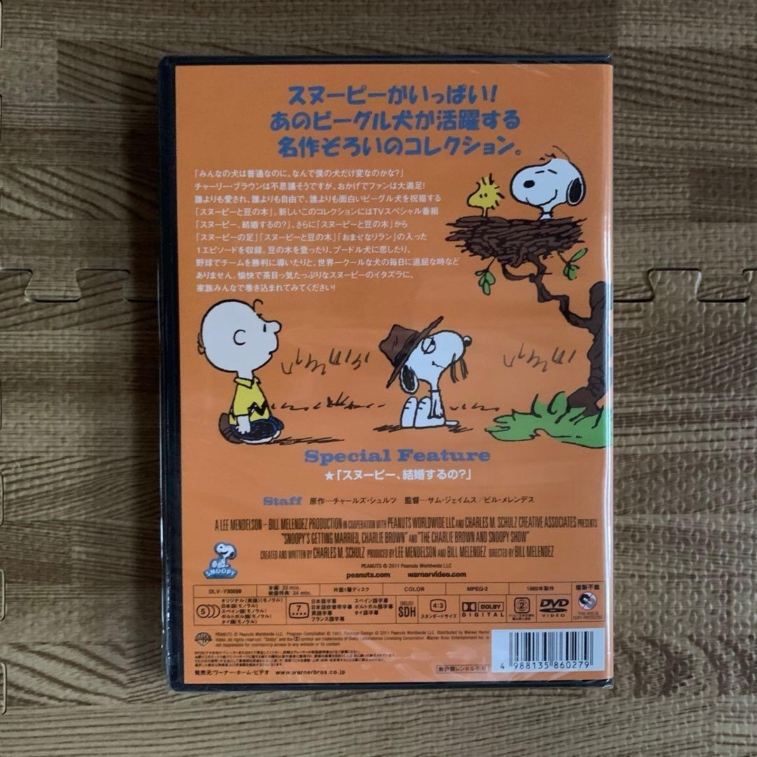 ★未開封　未使用品★ スヌーピー　PEANUTS DVD 10枚セット