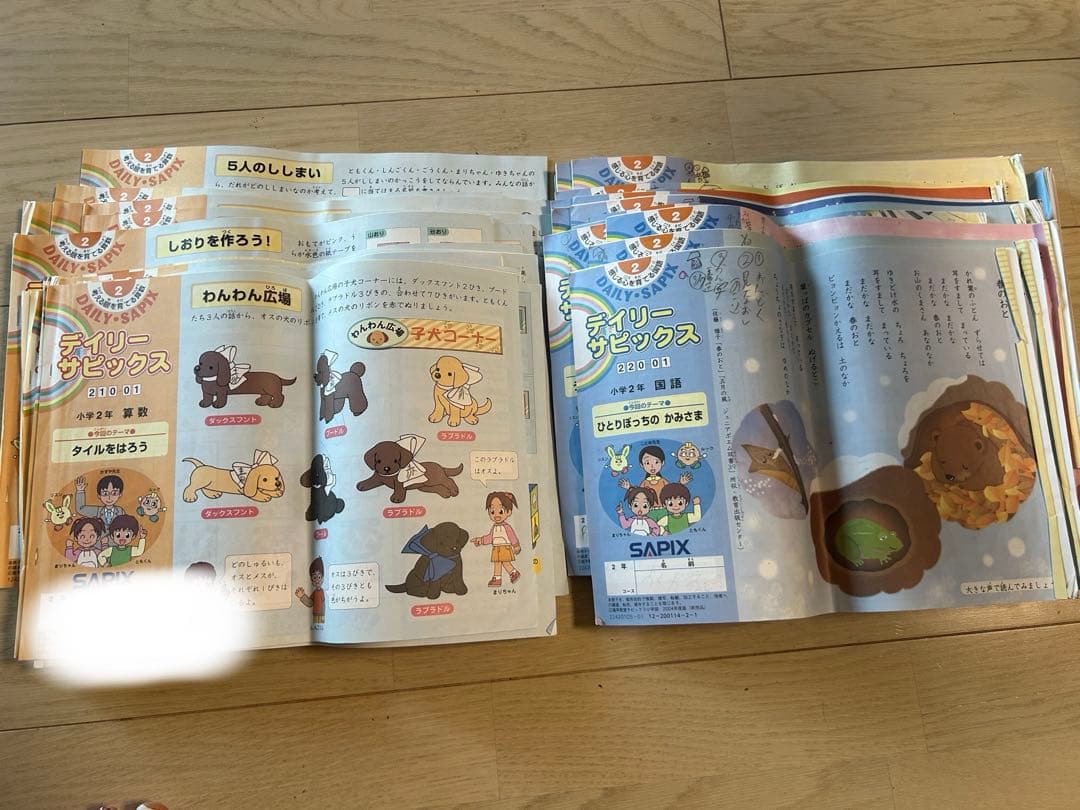 Sapix2年生デイリーサピックス国語1-17&数学1-17全巻、全34冊