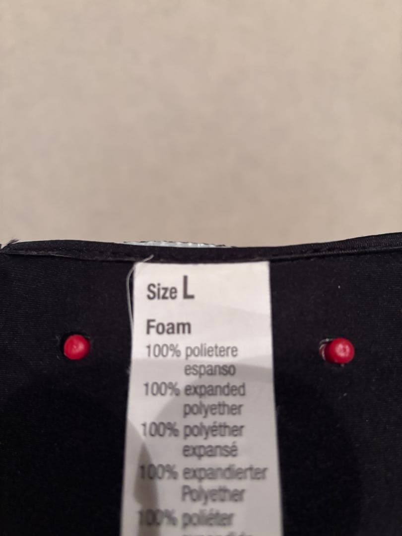 【現状品】AGV Pista GP RR