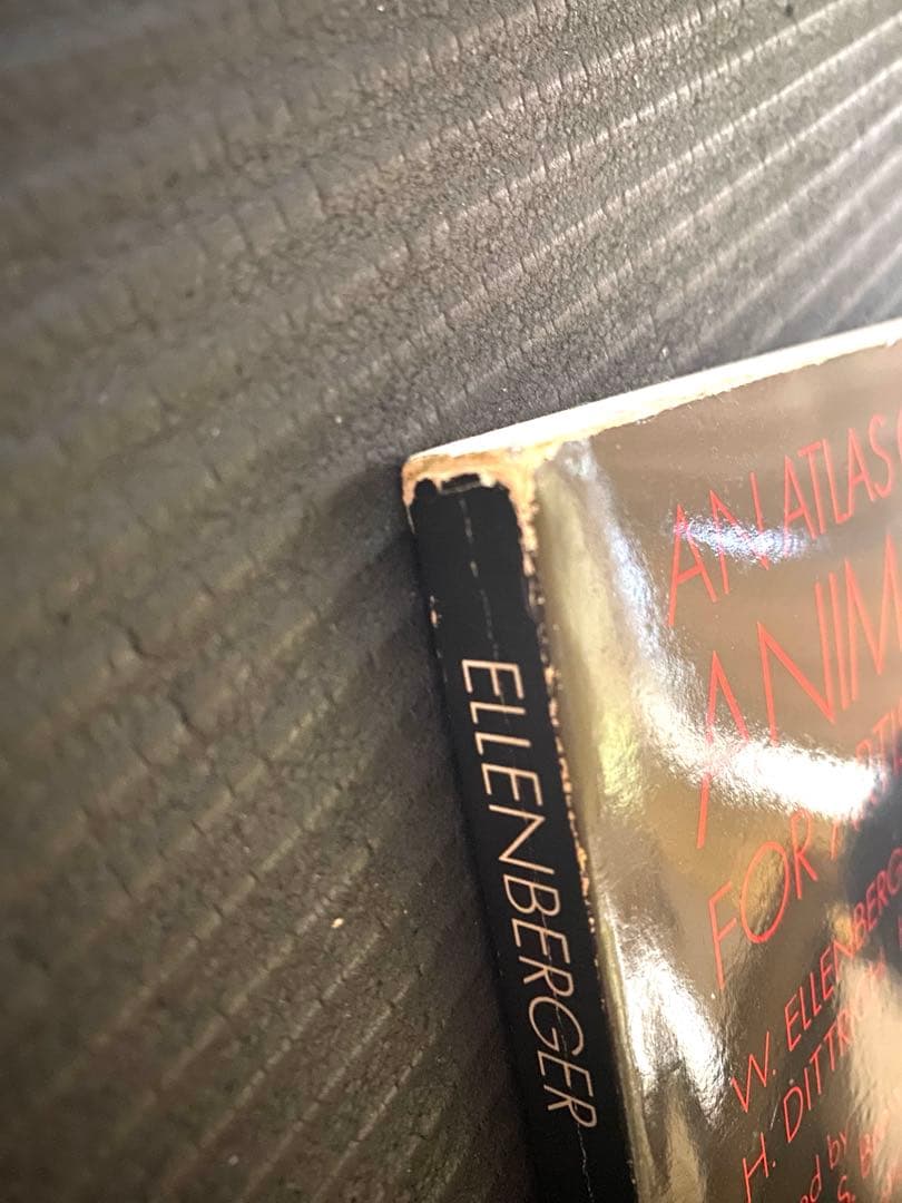 （鮮明）ANIMAL ANATOMY FOR ARTISTS