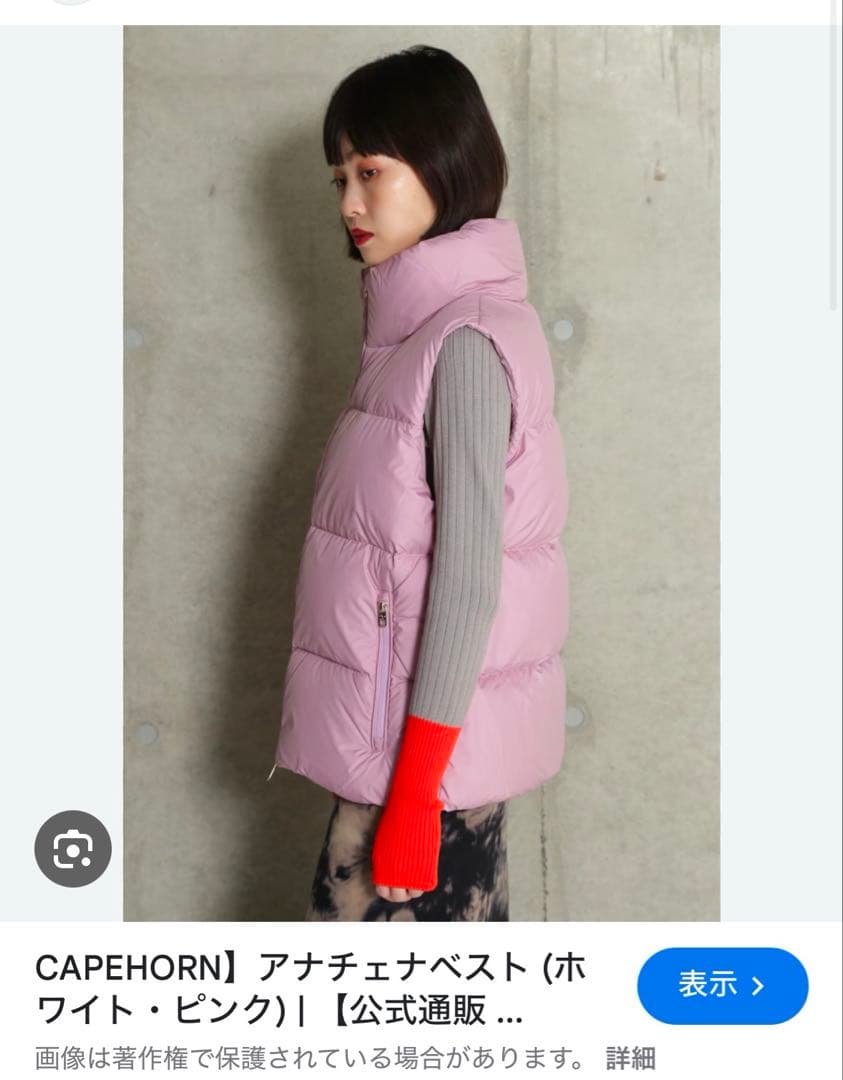 ケープホーン　ダウンベスト