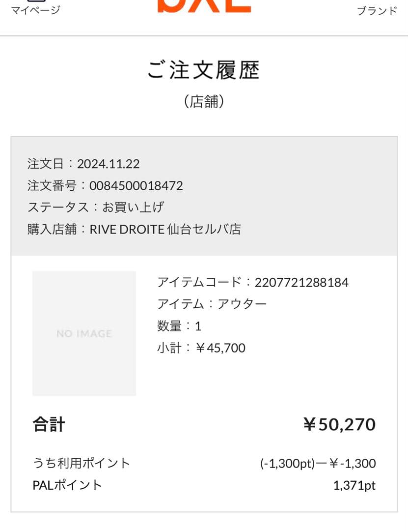 ケープホーン　ダウンベスト