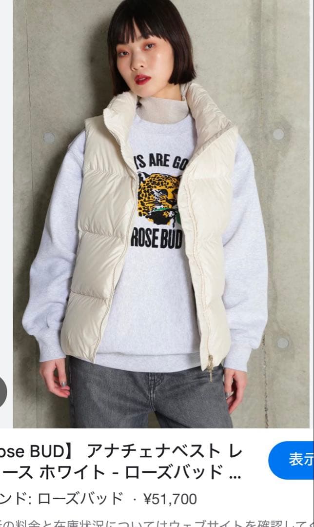 ケープホーン　ダウンベスト