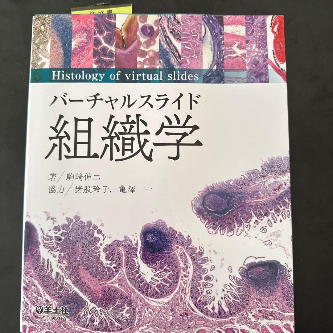 バーチャルスライド 組織学