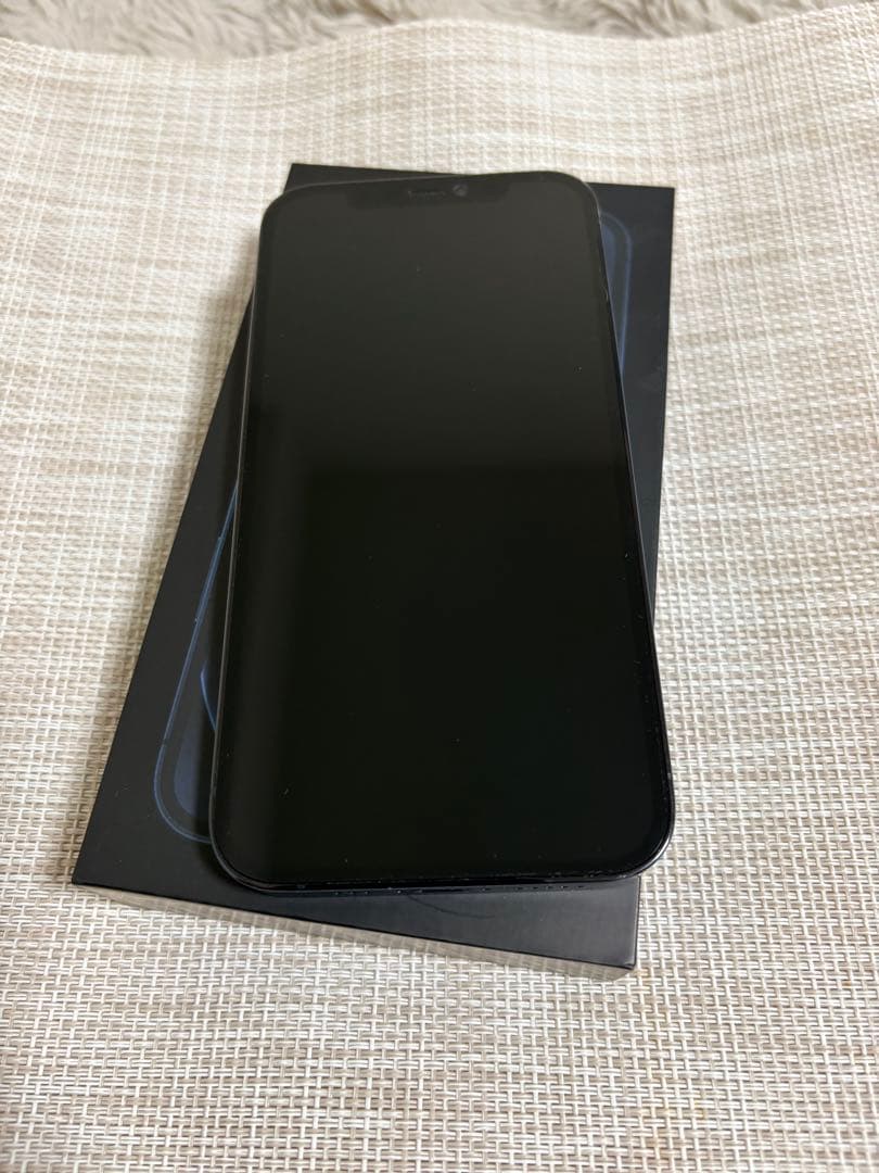 Apple iPhone 12 Pro 256GB グラファイト