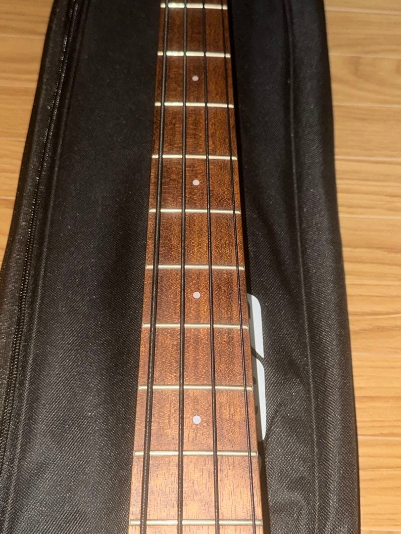 Ibanez AEGB24E-MHS (必ず商品の説明をご覧ください！)