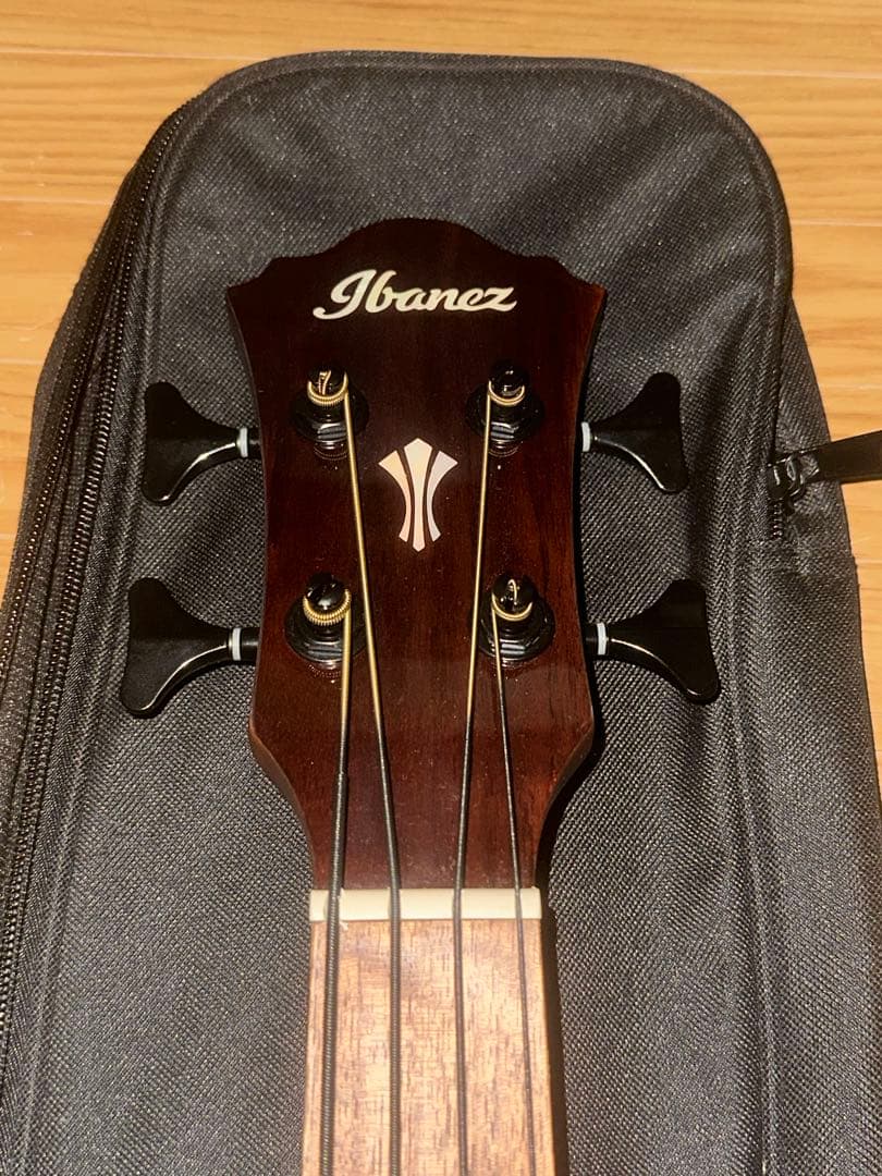 Ibanez AEGB24E-MHS (必ず商品の説明をご覧ください！)