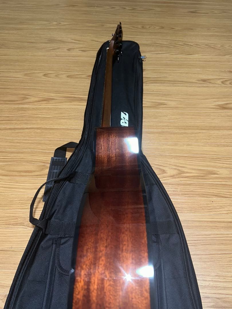 Ibanez AEGB24E-MHS (必ず商品の説明をご覧ください！)