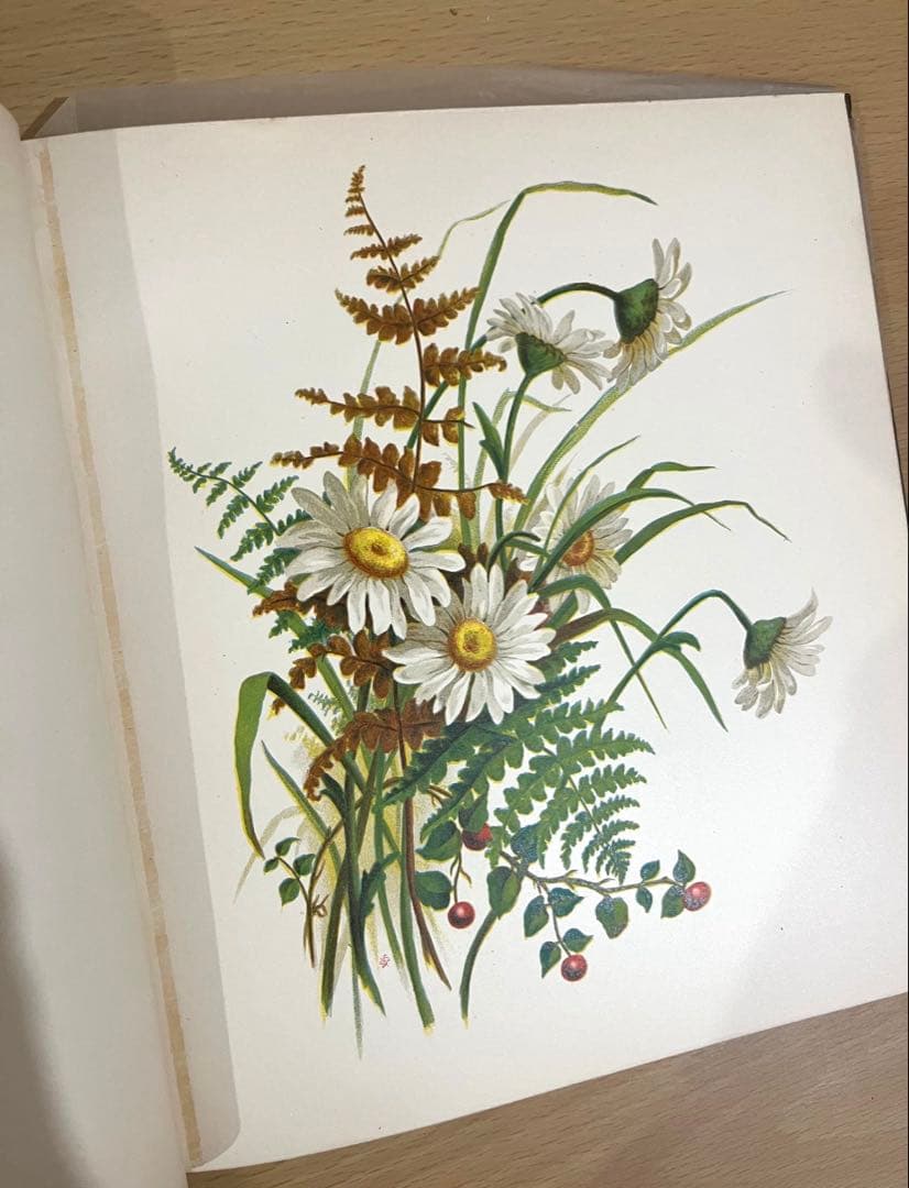 NO.322古書 アンティーク洋書 絵本 ビクトリアン 詩集 ボタニカルアート