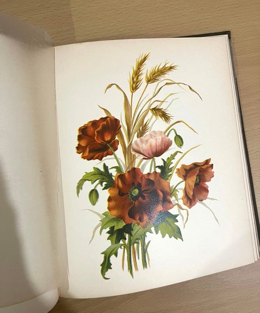 NO.322古書 アンティーク洋書 絵本 ビクトリアン 詩集 ボタニカルアート