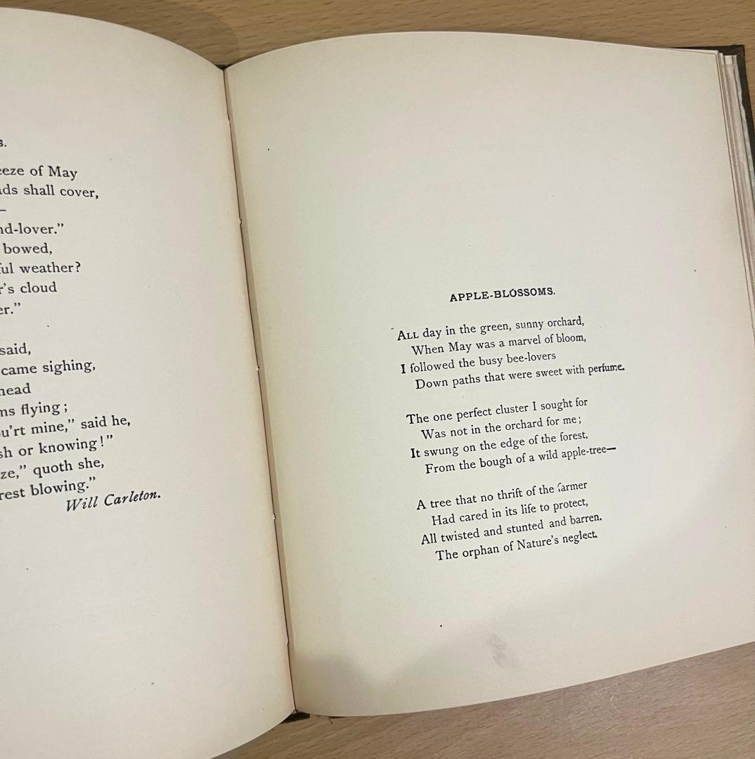 NO.322古書 アンティーク洋書 絵本 ビクトリアン 詩集 ボタニカルアート