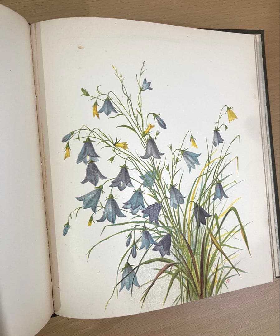 NO.322古書 アンティーク洋書 絵本 ビクトリアン 詩集 ボタニカルアート