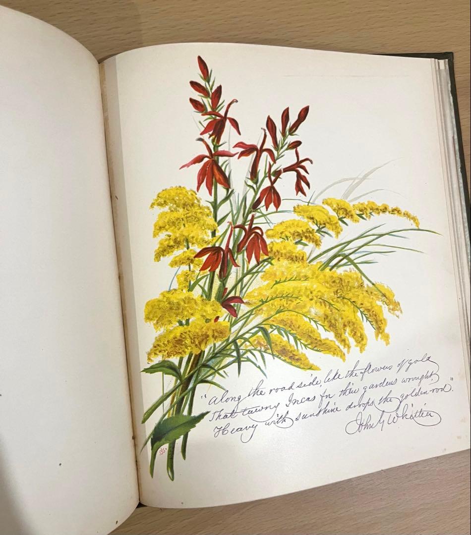 NO.322古書 アンティーク洋書 絵本 ビクトリアン 詩集 ボタニカルアート