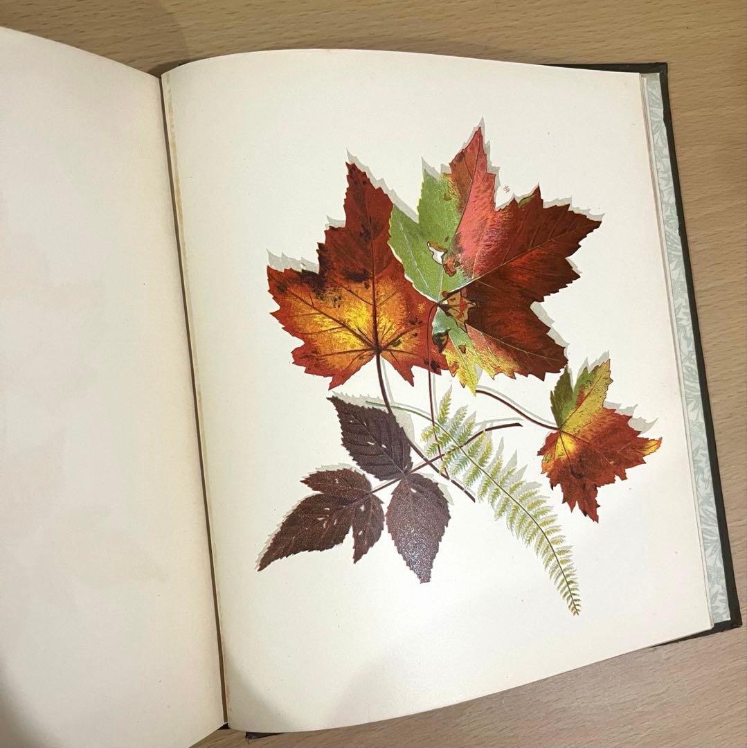 NO.322古書 アンティーク洋書 絵本 ビクトリアン 詩集 ボタニカルアート