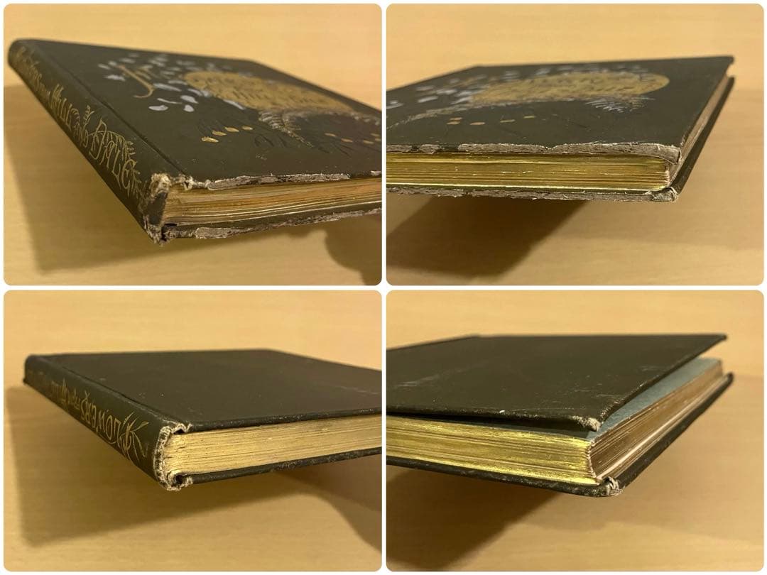 NO.322古書 アンティーク洋書 絵本 ビクトリアン 詩集 ボタニカルアート