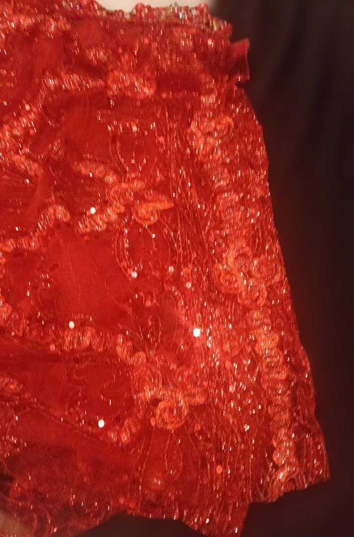 【新品Sale】エジプト製デザイナーズベリーダンス衣装セット赤