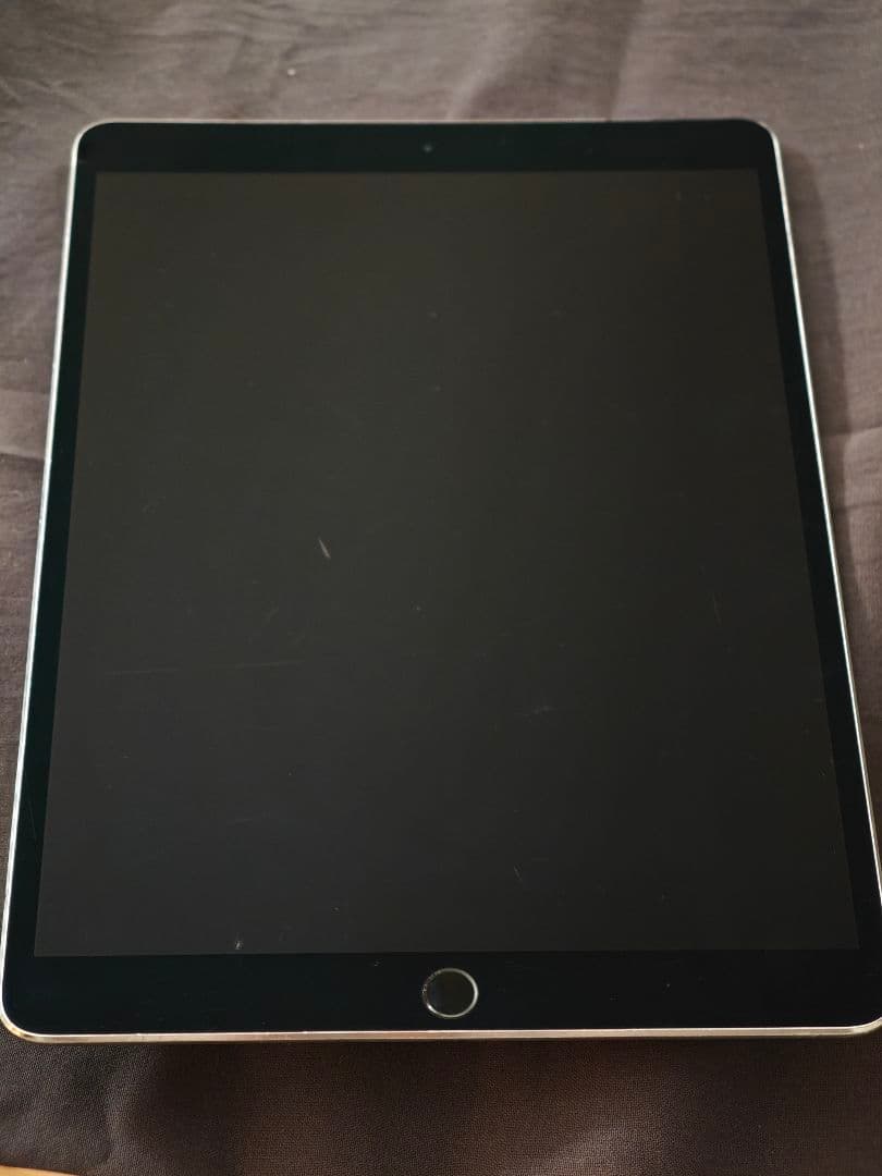 ipad Pro 10.5インチ 256GB グレー