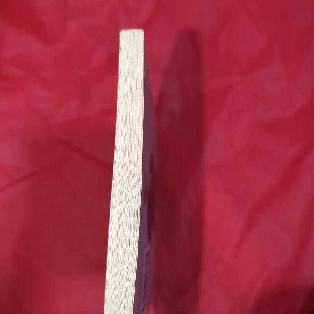 希少洋書 SPIRIT OF ‘69 A Skinhead Bible スキンズ