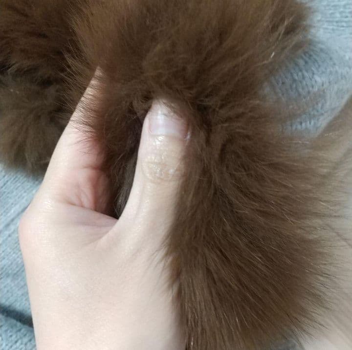 うさ様✩✩✩✩✩ワンピース✩ケープ2着