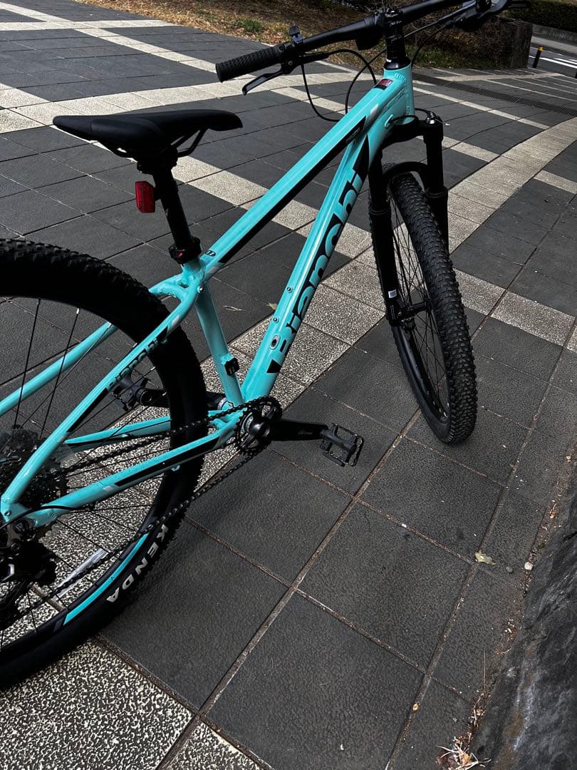 専用【美品】ビアンキ マグマ 9.1 2024年11月購入