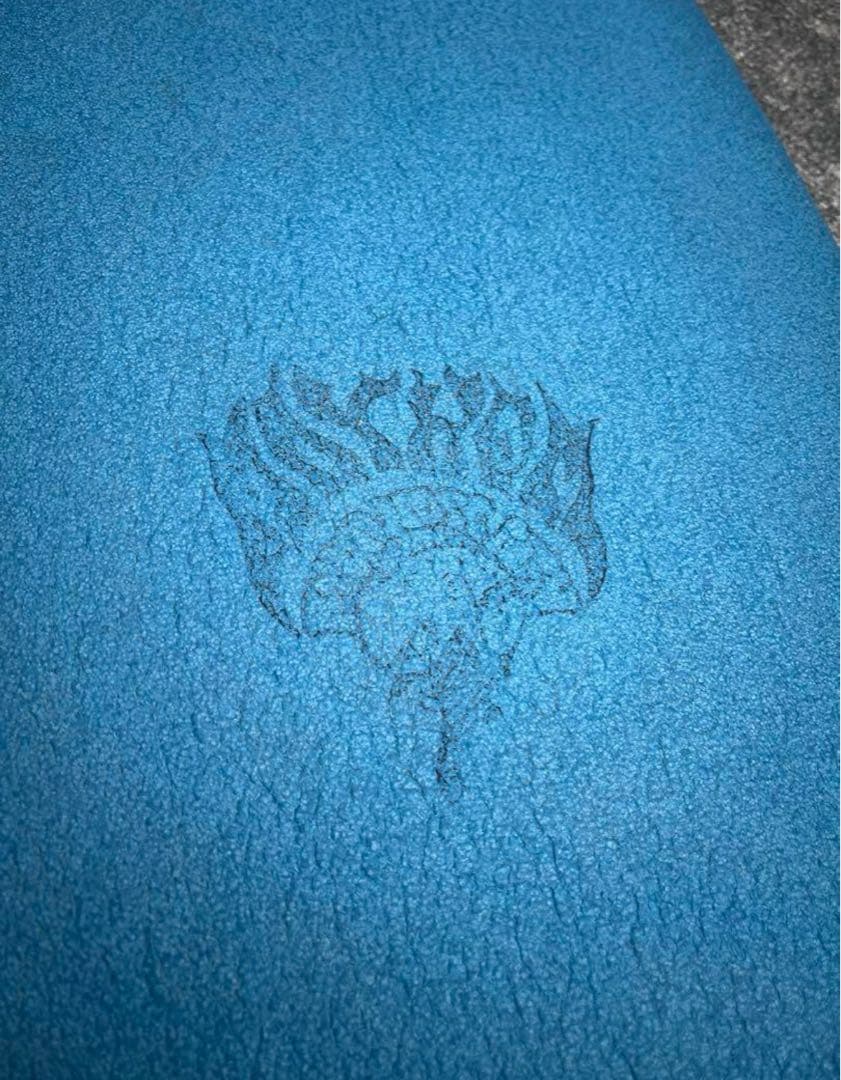 CATCH SURF ロスト 5’5”キャッチサーフ ラウンドノーズフィッシュ