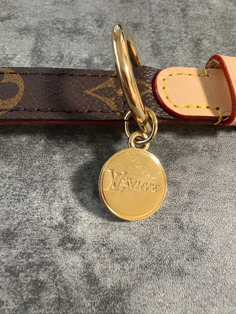 ✨新品試着のみ✨LOUIS VUITTON/首輪/定価73,700円/PMサイズ