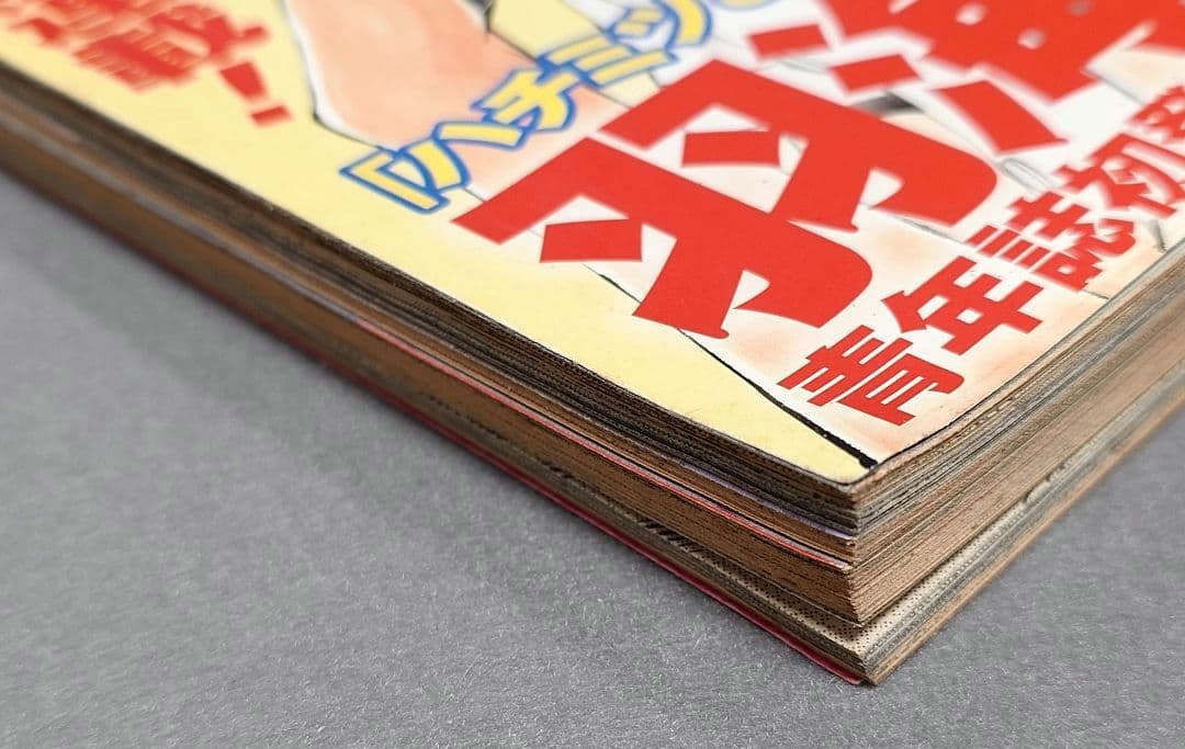 ヤングアニマル2007年7月27日14号『3月のライオン』新連載/羽海野チカ