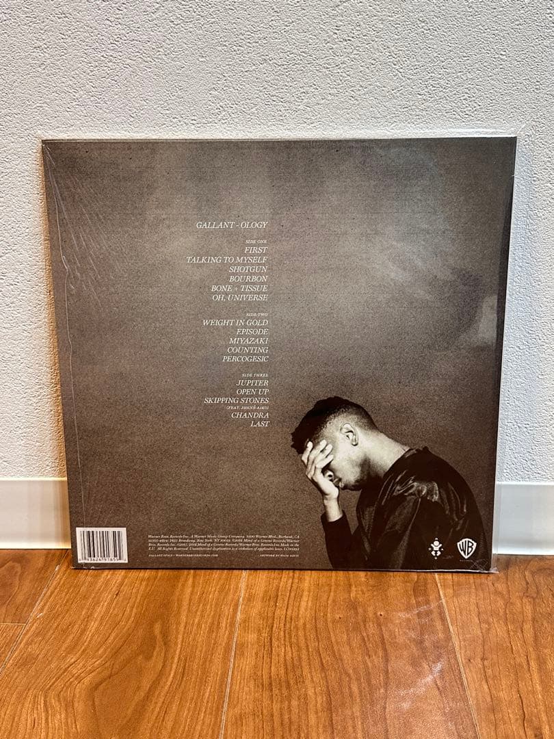 【美品】Gallant / Ology 12インチLPレコード