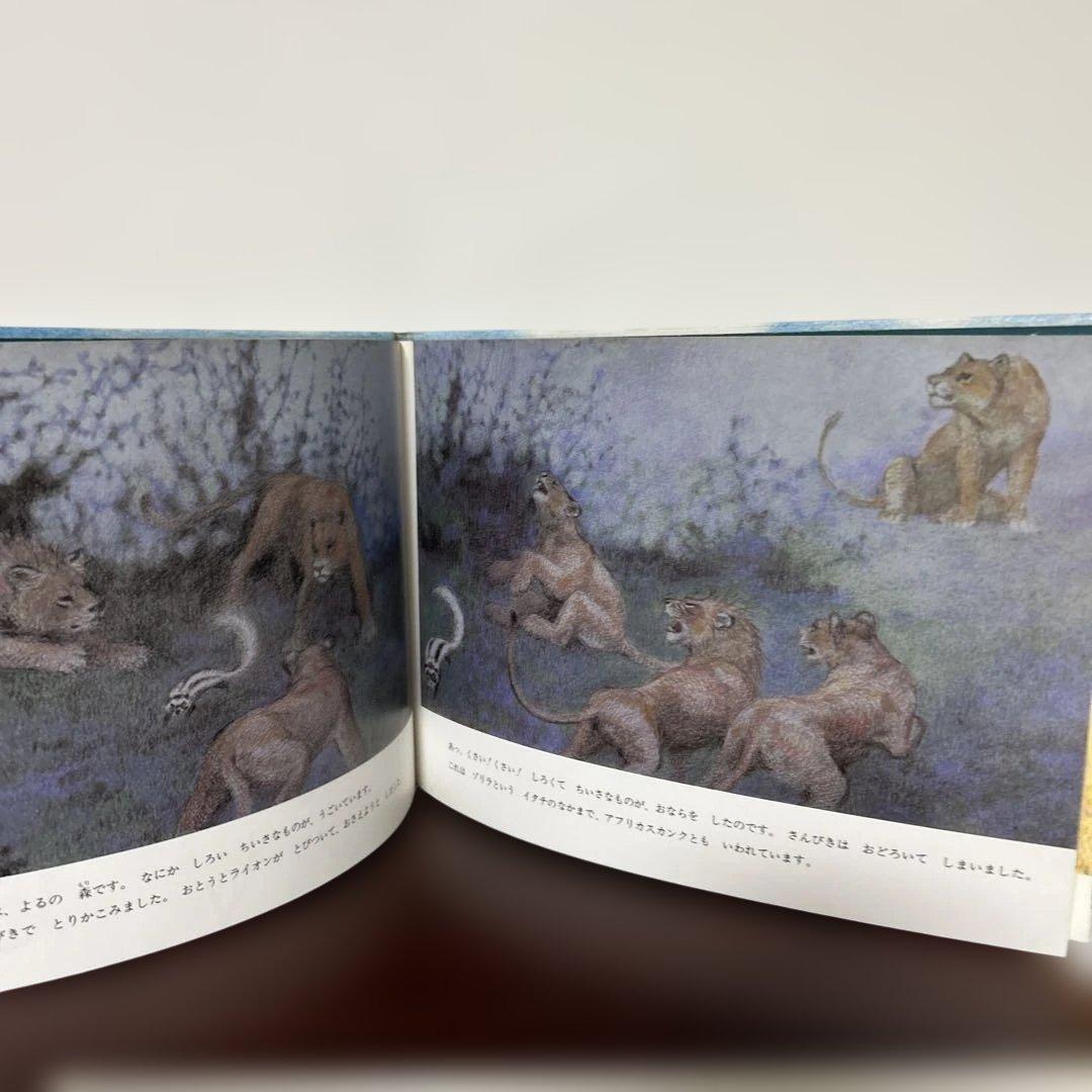 かりのけいこ、かんちがい 、はじめてのかり吉田遠志　動物絵本シリーズ アフリカ