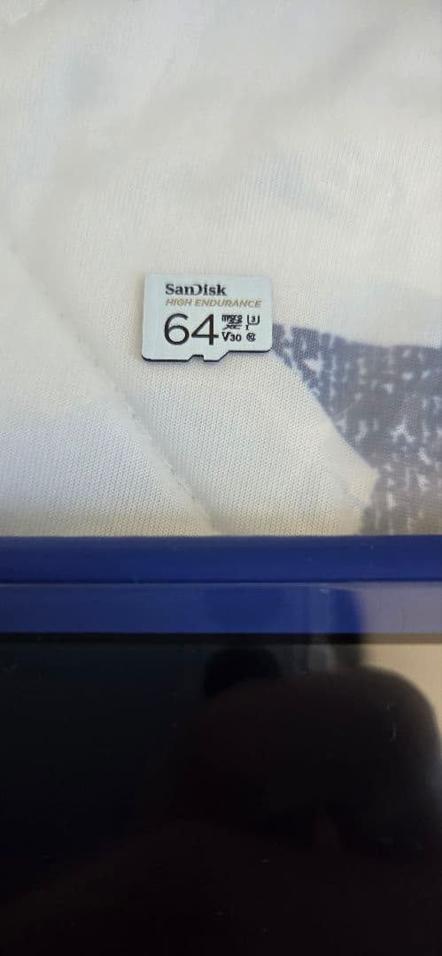 Nintendo Switch Lite ブルー 64GBマイクロSDカード付き