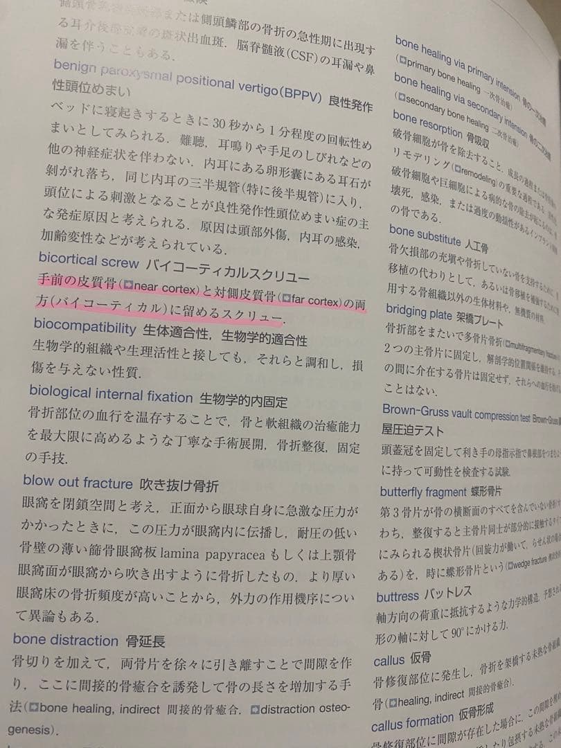 AO法 骨折治療 頭蓋顎顔面骨の内固定