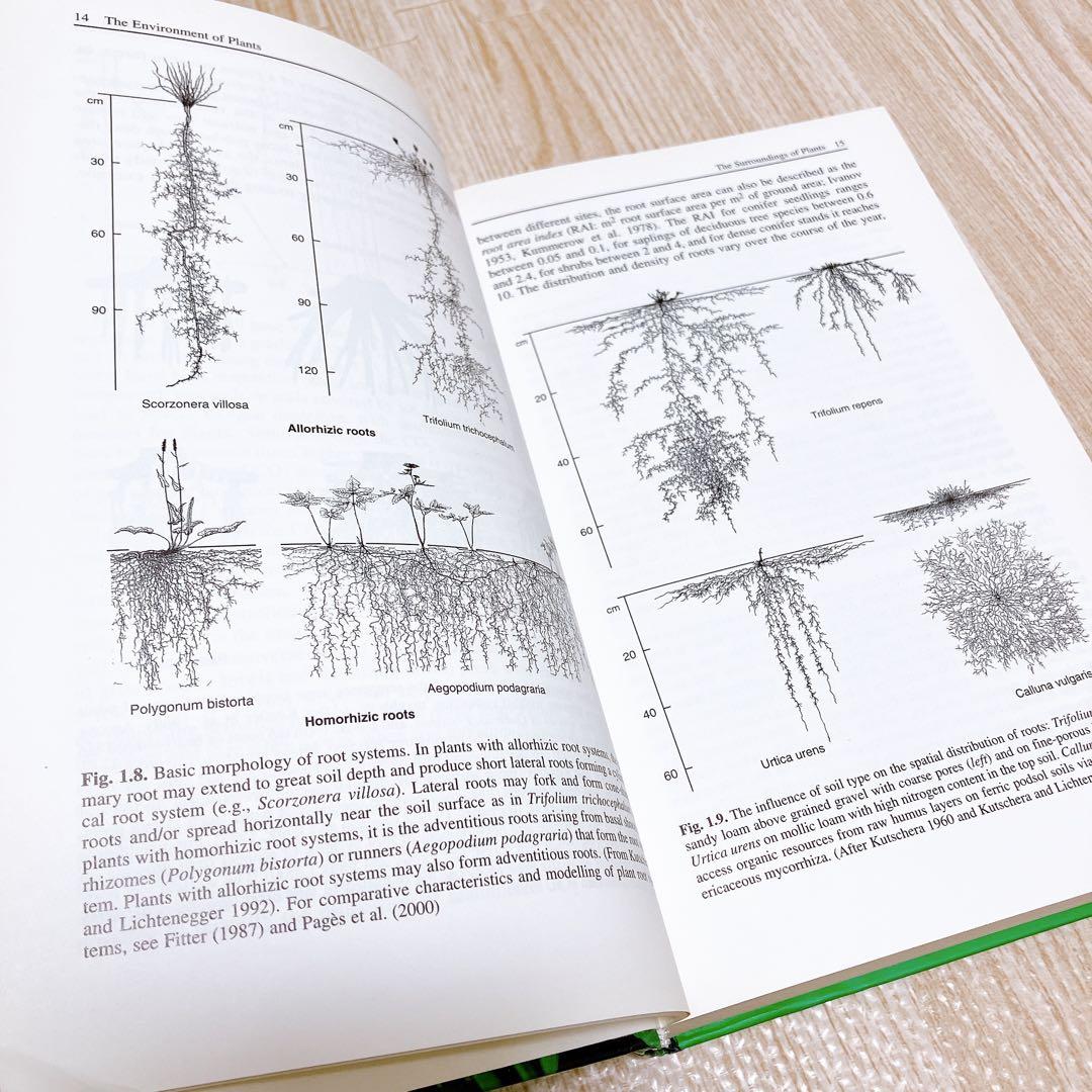 生理植物生態学 Physiological Plant Ecology 4th