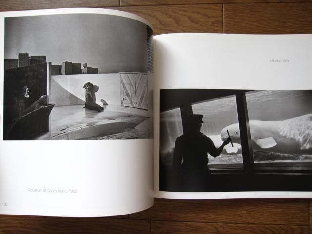 WINOGRAND　Figments from the Real World