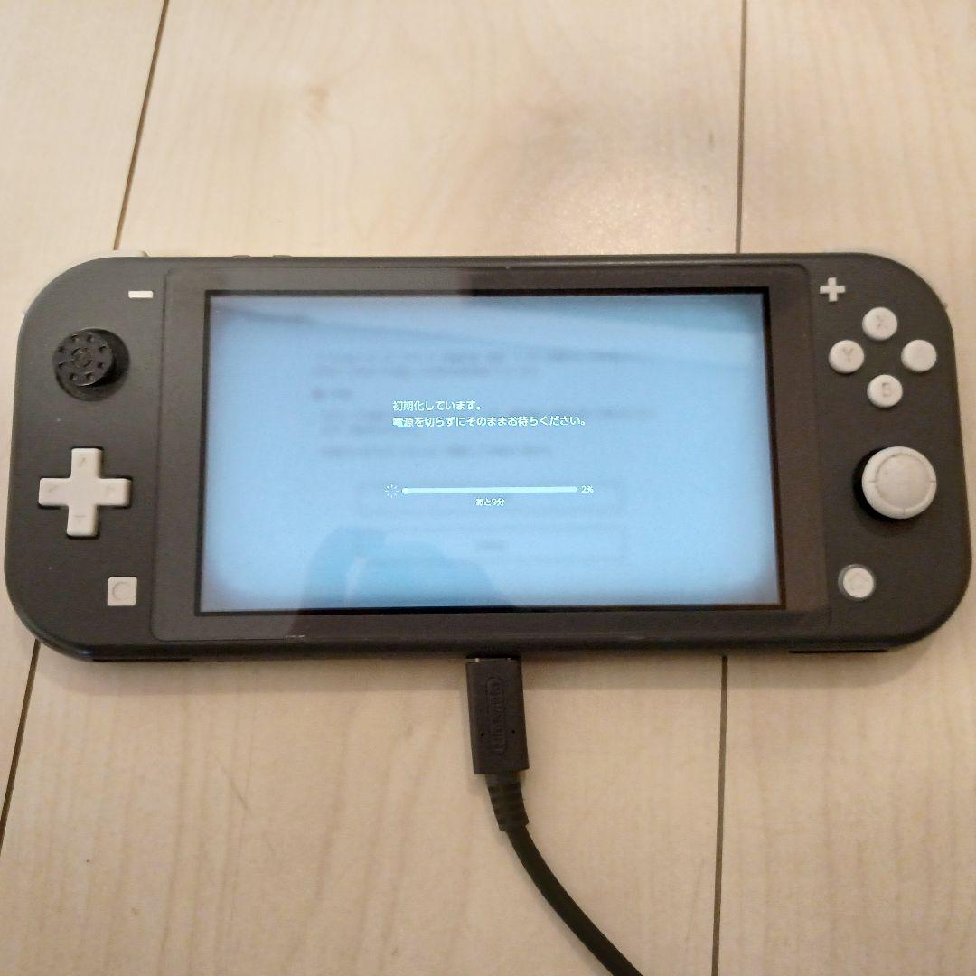 中古 Nintendo Switch Lite グレー 充電器付き