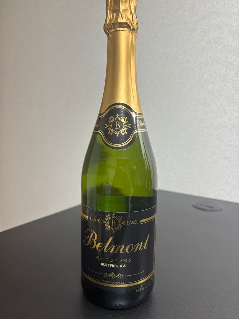 【未開封】スパークリングワイン 12本セット 辛口・ロゼ・金賞受賞酒 飲み比べ②