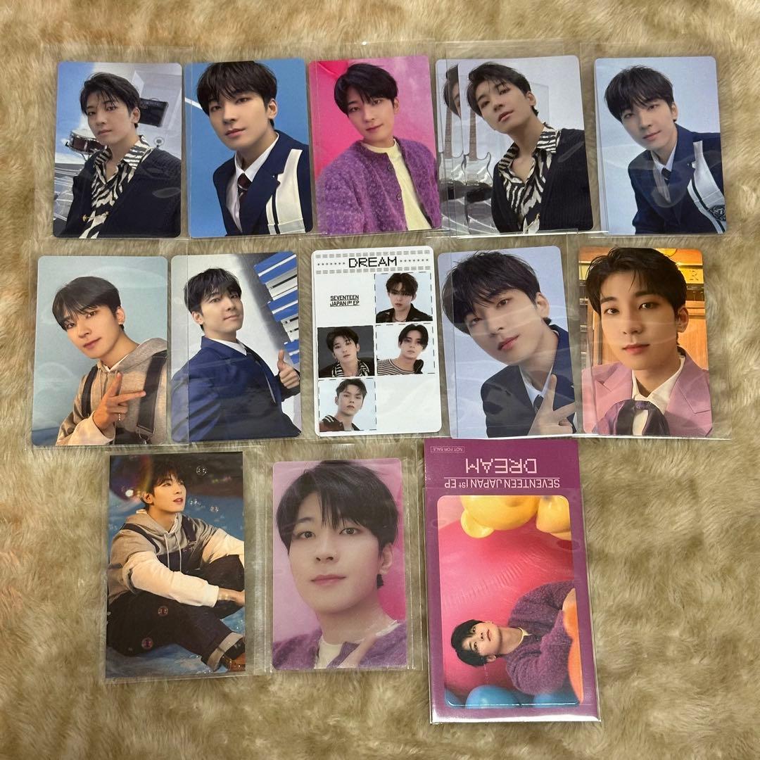 SEVENTEEN DREAM ウォヌ トレカ