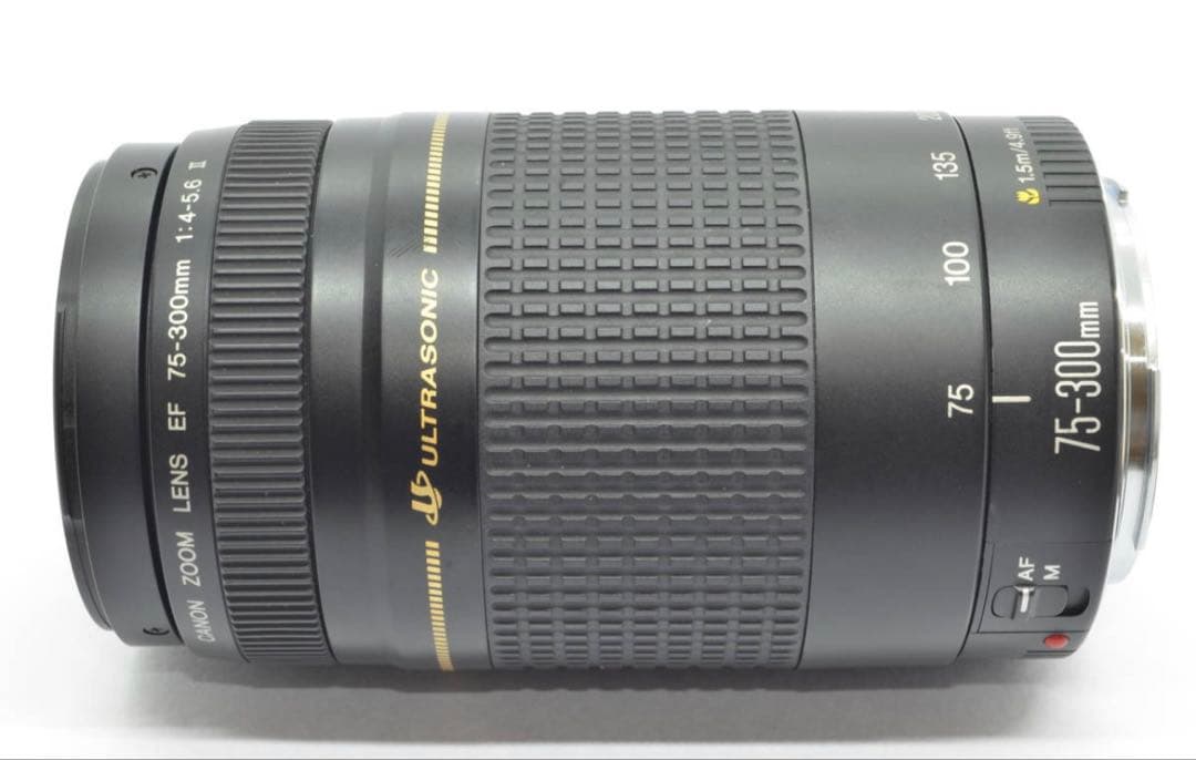 人気の望遠レンズ☆デジタル一眼レフカメラ☆Canon EF75-300㎜☆