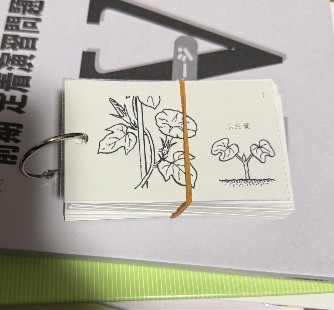 日能研　2026年度　6年　前期　理科　ステージⅣ テキストセット