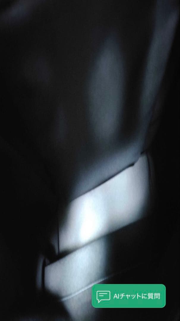 ルイ・ヴィトン 象デザイン バックパック