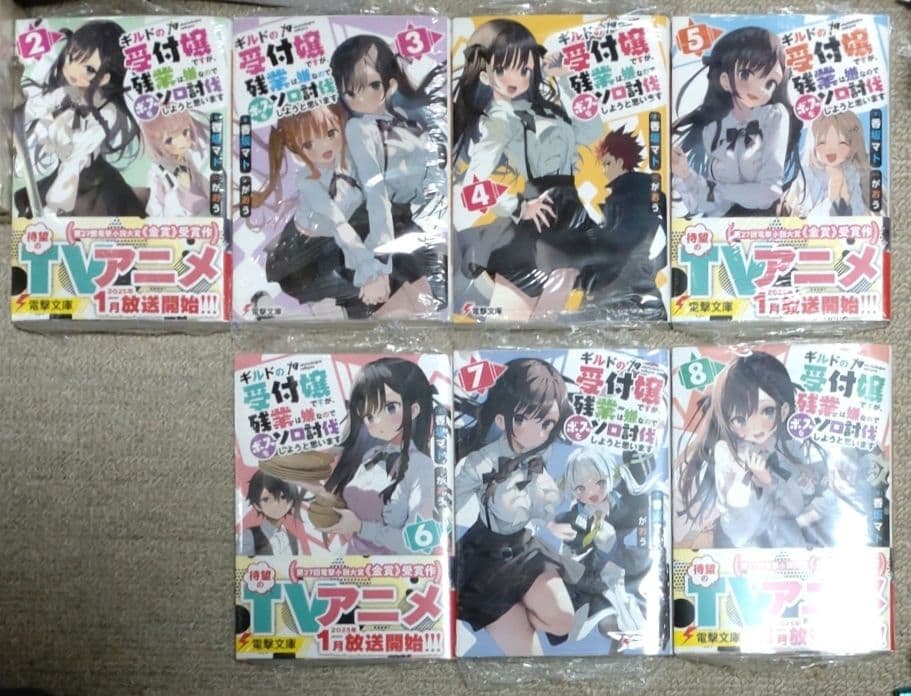 ギルドの受付嬢ですが、残業は嫌なのでボスをソロ討伐しようと思います セット