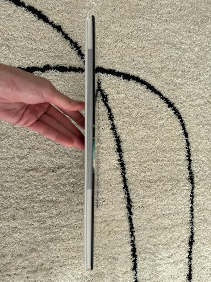 洋書 HEDISLIMANE 写真集 エディスリマン