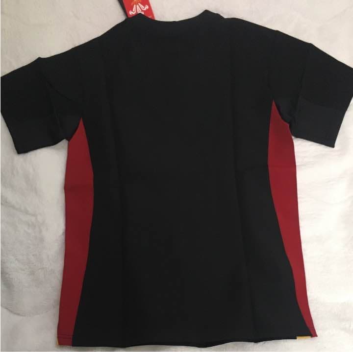 ラグビー ウェールズ代表 トレーニングジャージ XSサイズ