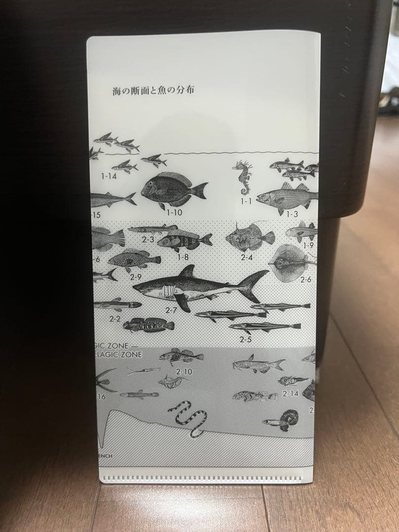 【美品】サカナクション 魚図鑑 完全生産限定プレミアムBOX 3CD＋魚大図鑑