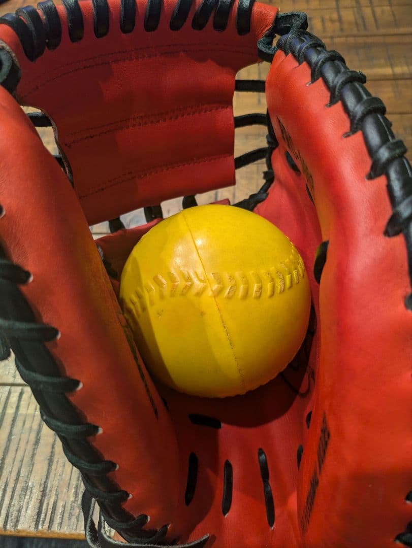 ハタケヤマ　HATAKEYAMA PRO-M03 キャッチャー用グローブ ソフト