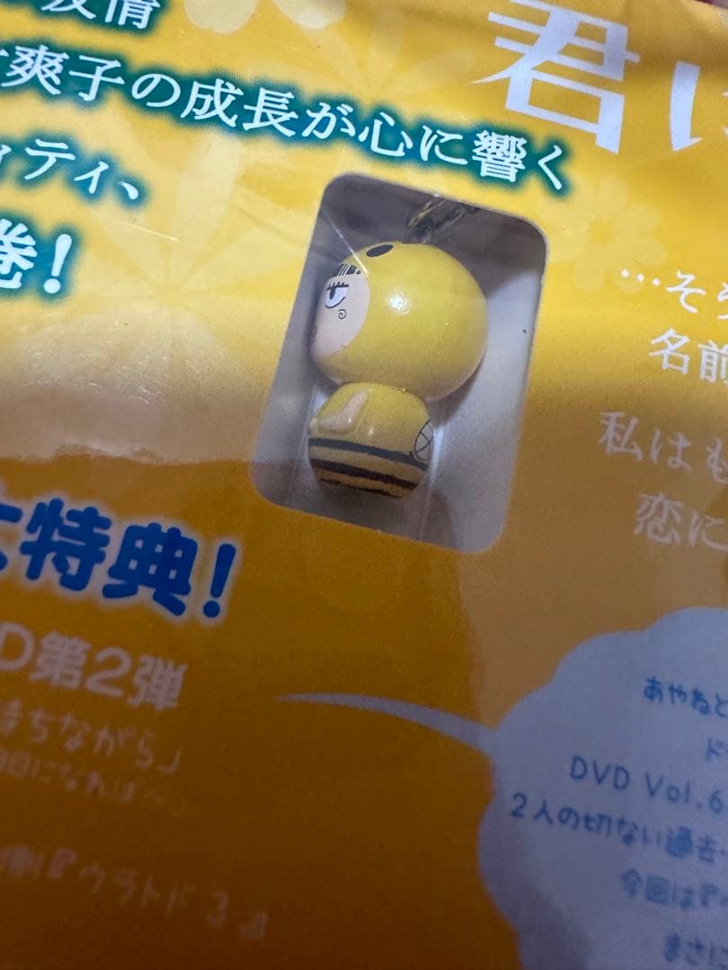 君に届け　ストラップ付きDVD8巻セット＆全巻購入特典DVD BOX