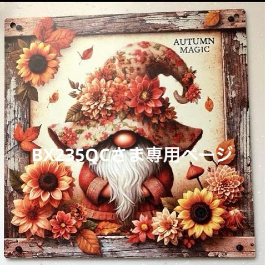 BX235QC様おまとめ11点