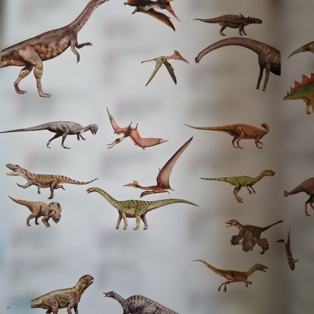 まとめ売り　絵本　仕掛け絵本　どうぶつ　せかい地図　恐竜大行進　のりものずかん