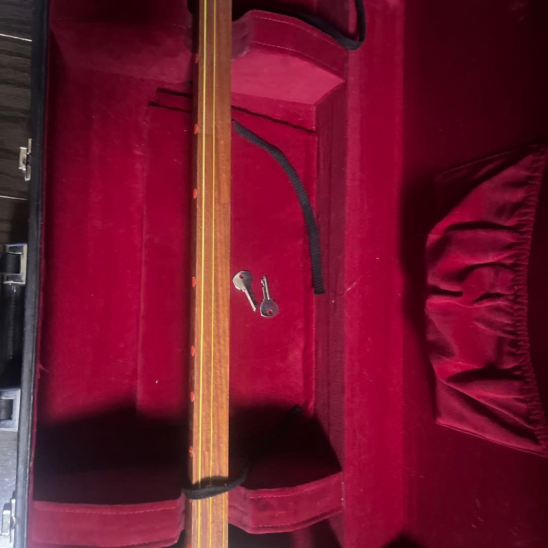 三味線本体 木製 3本の弦 専用ケース付き