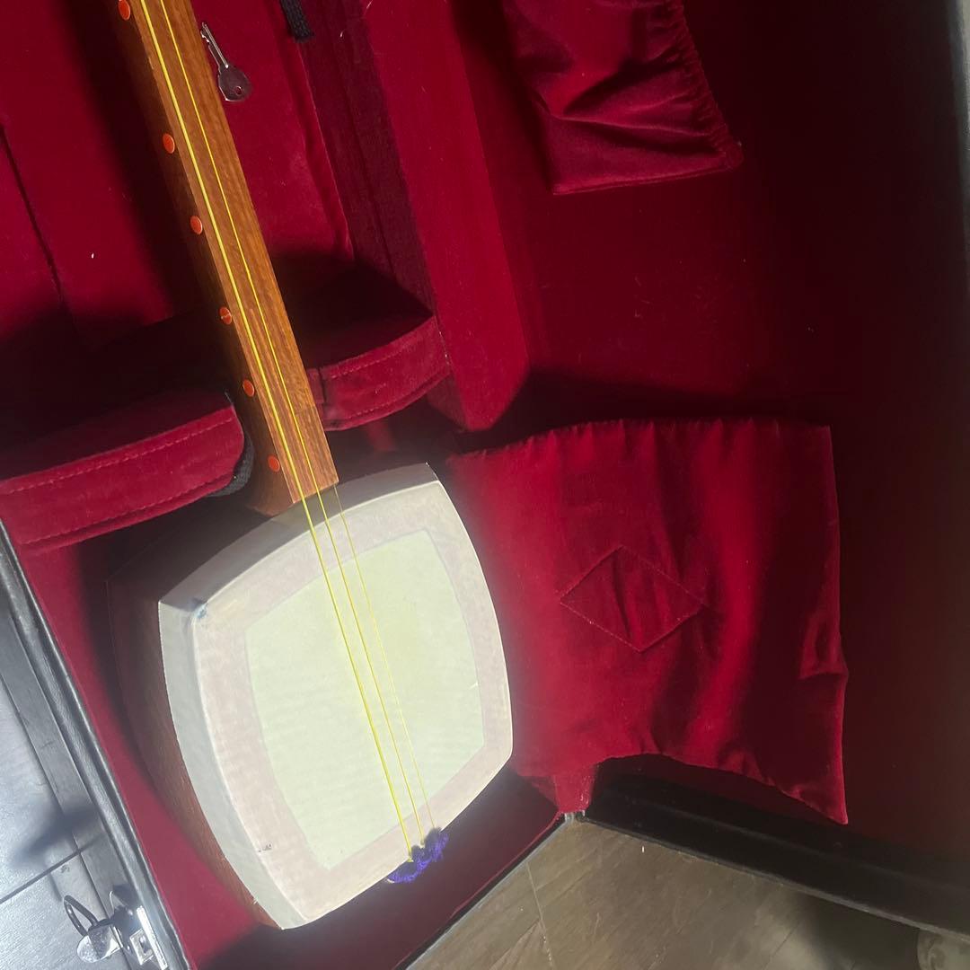 三味線本体 木製 3本の弦 専用ケース付き