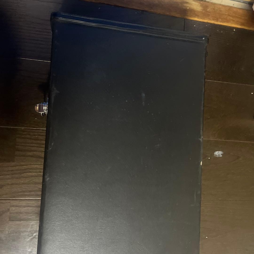 三味線本体 木製 3本の弦 専用ケース付き